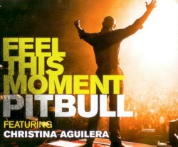 Feel This Moment Remixes