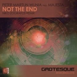 Not the End (Niko Zografos Remix)