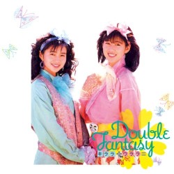 ダブル・ファンタジー +9