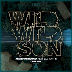 Wild Wild Son (club mix)
