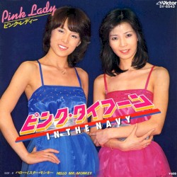 ピンク・タイフーン（In The Navy）
