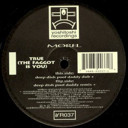True (The Faggot Is You) (disc 1)