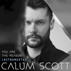 You Are the Reason (instrumental)