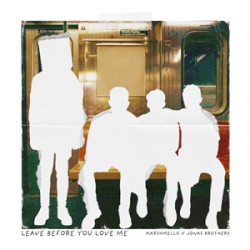 Leave Before You Love Me [promo]
