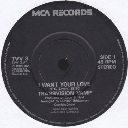 I Want Your Love (I Don’t Want Your Money mix)