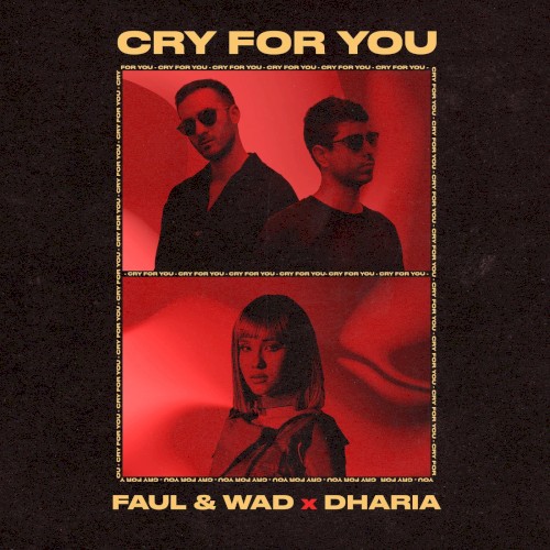 Cry for You (extended mix)