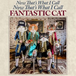 Now That's What I Call Now That's What I Call Fantastic Cat