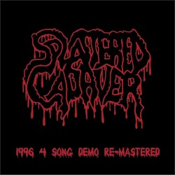 1996 demo