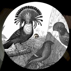 Anna Lunoe & Friends EP
