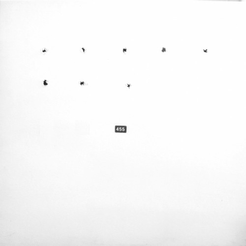 Split Series #8