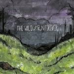 The Wild // Run Forever Split 7"
