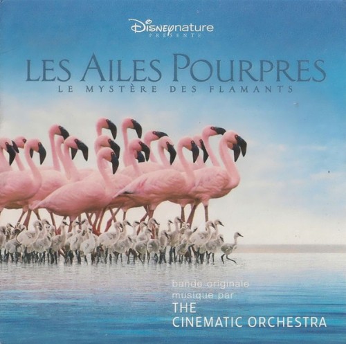Les Ailes pourpres : Le Mystère des flamants
