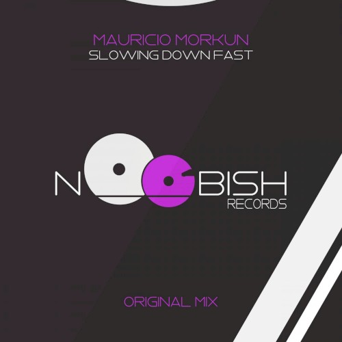 Slowing Down Fast (Neylan remix)