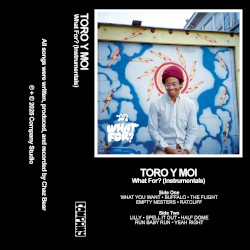 What For? (instrumentals)