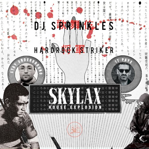 Skylax House Explosion (DJ Mix)