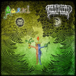 Aarni / Persistence in Mourning Split