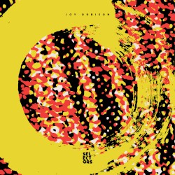 Selectors 004 - Joy Orbison