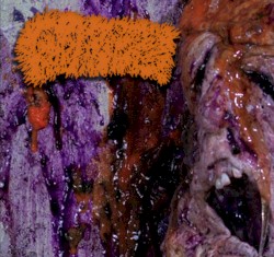 Split w/ Deterioration