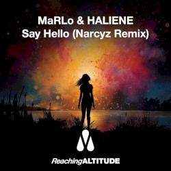 Say Hello (Narcyz remix)