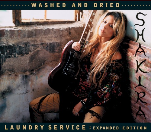 Laundry Service: Washed and Dried (expanded edition)