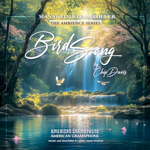 Bird Song (music)