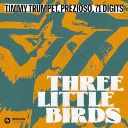Three Little Birds (extended mix)