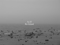 Re-Island