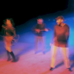 Under the Light