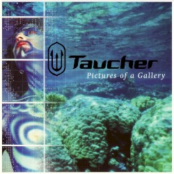 Pictures Of A Gallery - More Mixes