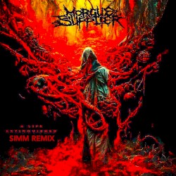 A Life Extinguished (SIMM remix)
