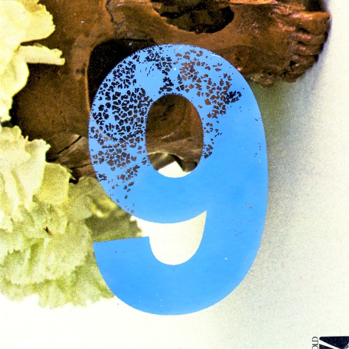vol. 9 (2004-2006) ///bc version