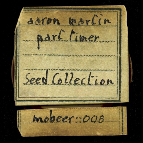 Seed Collection (Side A)