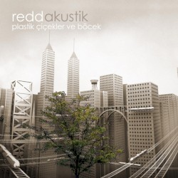 Plastik Çiçekler ve Böcek (Akustik)
