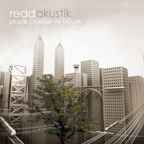 Plastik Çiçekler ve Böcek (Akustik)