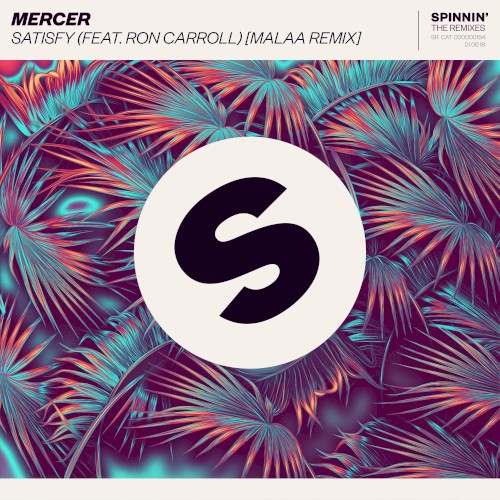Satisfy (Malaa extended remix)
