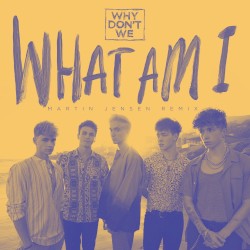 What Am I (Martin Jensen remix)