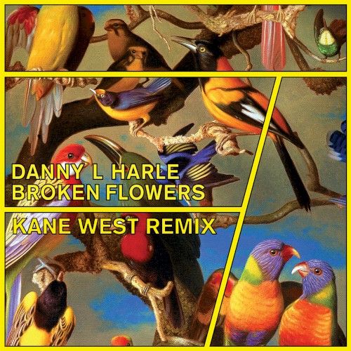 Broken Flowers (Kane West remix)