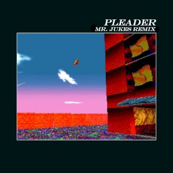 Pleader (Mr. Jukes remix)
