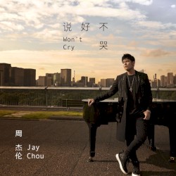 說好不哭 (Won't Cry)