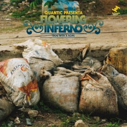 Dog with a Rope (Quantic Presenta Flowering Inferno)