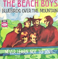 Bluebirds Over the Mountain