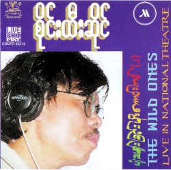 ပျံသန်းခြင်းမိုးကောင်းကင် (၂)