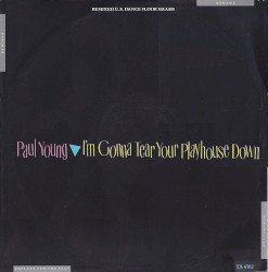 I’m Gonna Tear Your Playhouse Down (remixed U.S. dance Floor Smash)