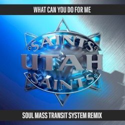 What Can You Do for Me (Soul Mass Transit System remix)
