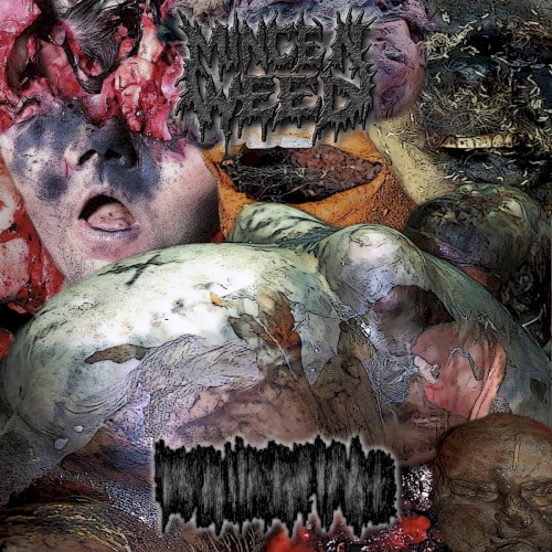 Mince n' Weed / Regurgitasi