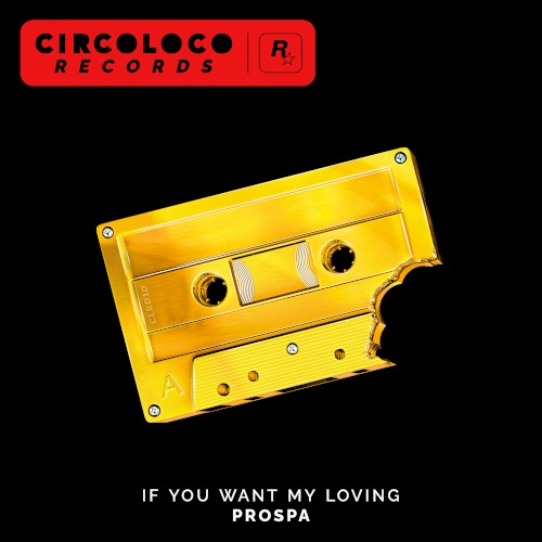 If You Want My Loving (extended mix)