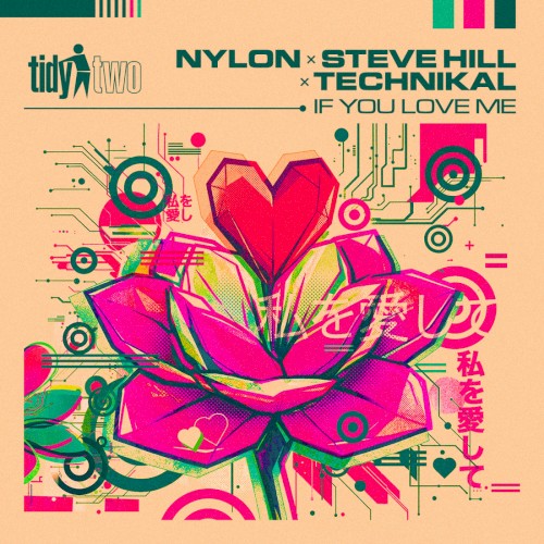 If You Love Me (Paul Janes remix)