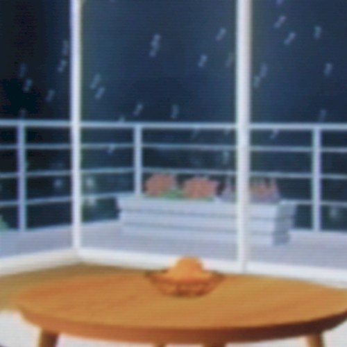 Wii愛