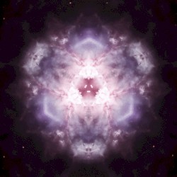 TH3 D3MO COLL3CTION