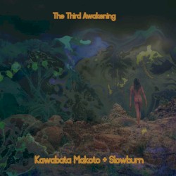The Third Awakening (Henie Onstad 2002-11-03)